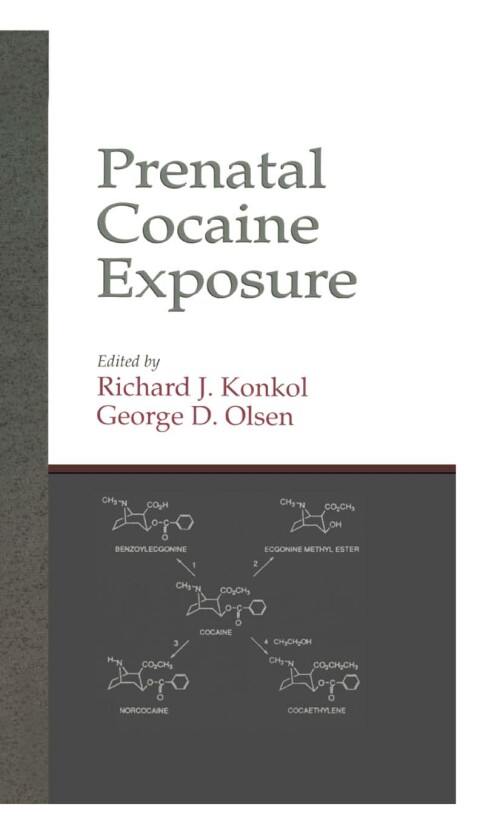 Cover image for book Prenatal Cocaine Exposure