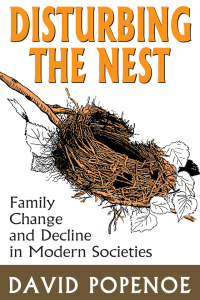 Omslagafbeelding: Disturbing the Nest 1st edition 9780202303512