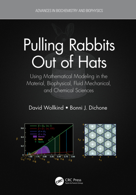 Cover image for book Pulling Rabbits Out of Hats