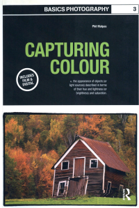 Cover image: Capturing Colour 1st edition 9780367717629