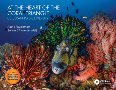 At the Heart of the Coral Triangle 