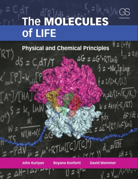 The Molecules of Life