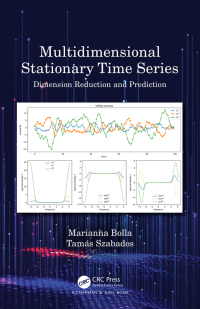 Cover image: Multidimensional Stationary Time Series 1st edition 9780367569327