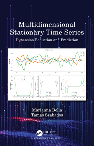 Multidimensional Stationary Time Series