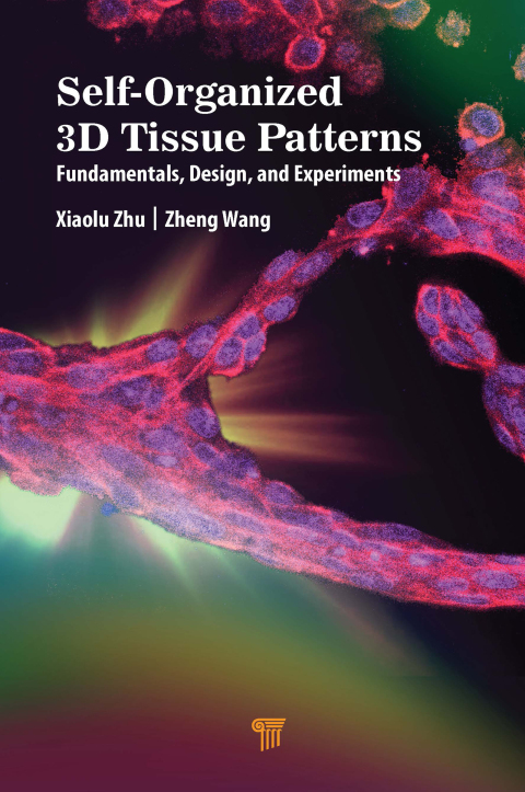 Self-Organized 3D Tissue Patterns 