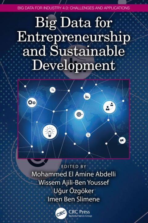 Cover image for book Big Data for Entrepreneurship and Sustainable Development