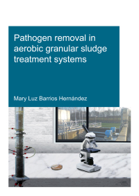 صورة الغلاف: Pathogen removal in aerobic granular sludge treatment systems 1st edition 9781032139487