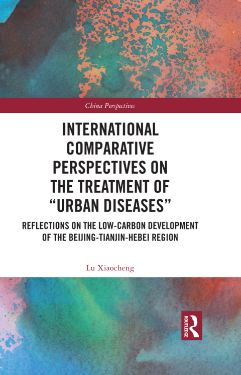 Cover image for book International Comparative Perspectives on the Treatment of “Urban Diseases”