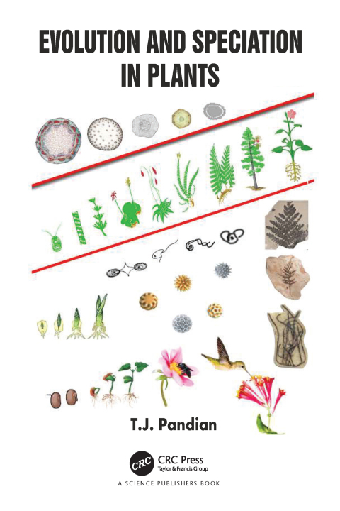 Cover image for book Evolution and Speciation in Plants