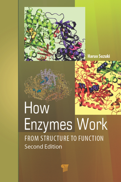 How Enzymes Work 
