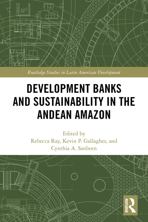 Cover image for book Development Banks and Sustainability in the Andean Amazon