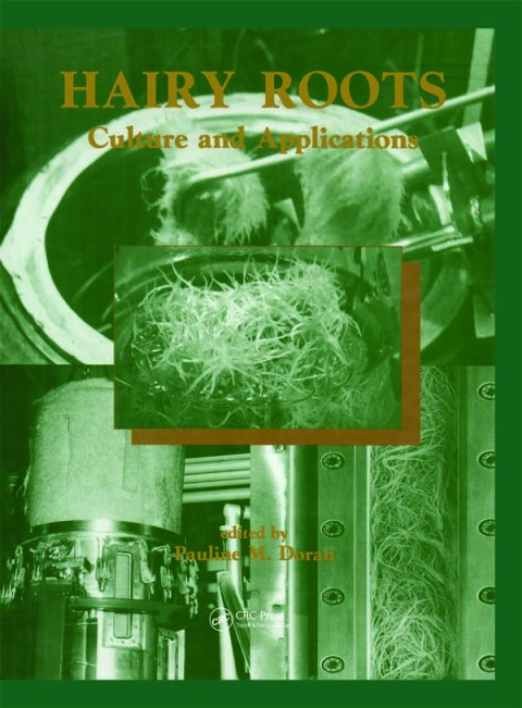 Cover image for book Hairy Roots