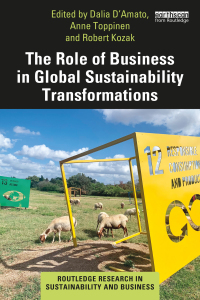 Cover image: The Role of Business in Global Sustainability Transformations 1st edition 9780367434823