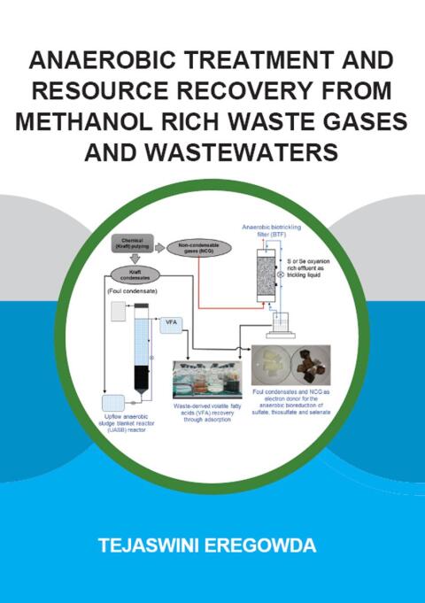 Cover image for book Anaerobic Treatment and Resource Recovery from Methanol Rich Waste Gases and Wastewaters