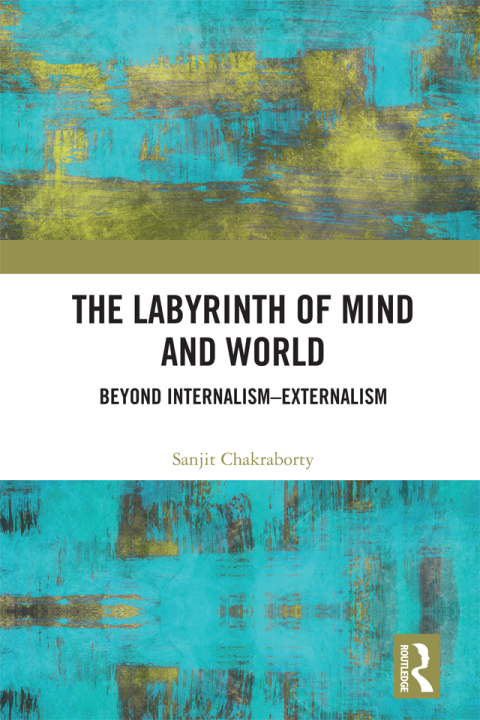Cover image for book The Labyrinth of Mind and World