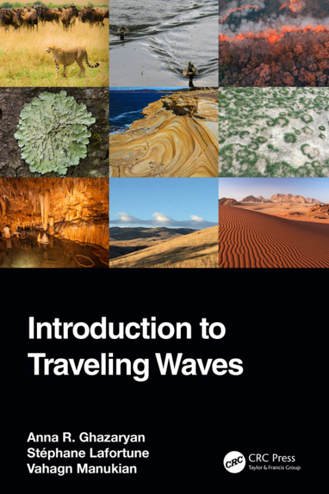 Cover image for book Introduction to Traveling Waves