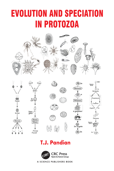 Cover image for book Evolution and Speciation in Protozoa