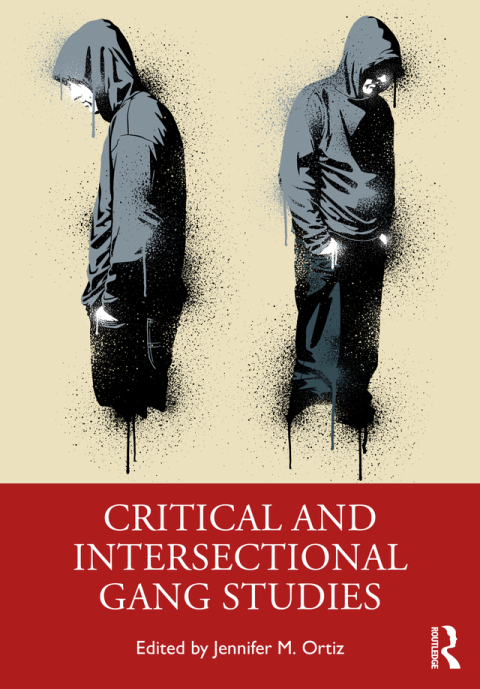 Cover image for book Critical and Intersectional Gang Studies