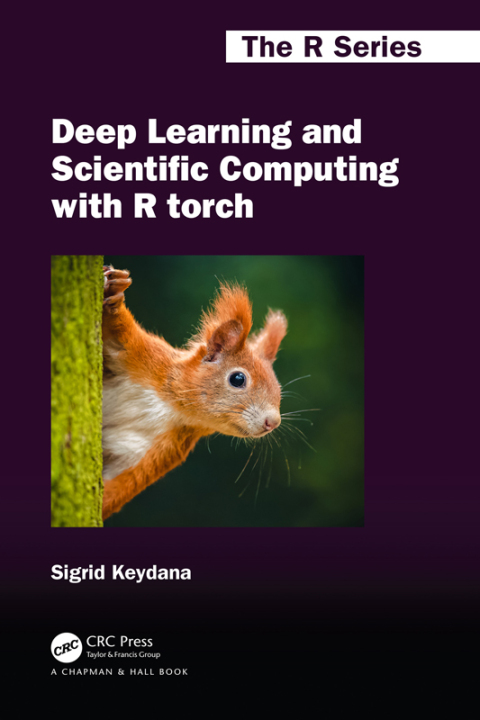 Cover image for book Deep Learning and Scientific Computing with R torch