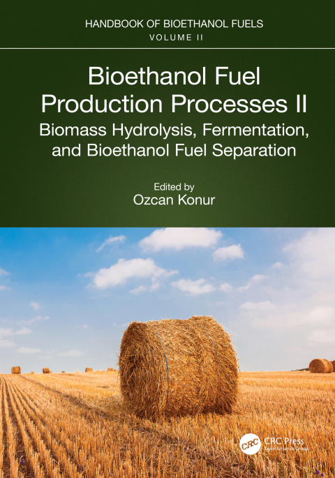 Cover image for book Bioethanol Fuel Production Processes. II