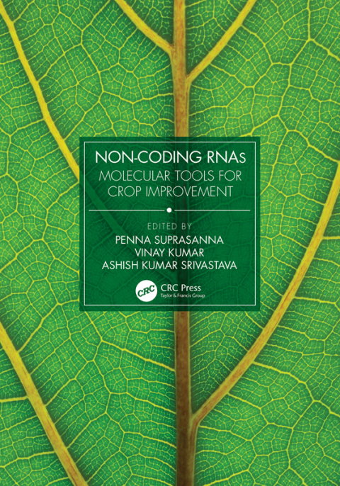 Cover image for book Non-Coding RNAs