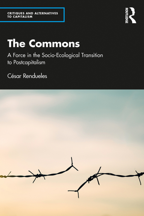 Cover image for book The Commons