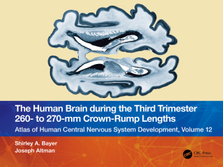 The Human Brain during the Third Trimester 260– to 270–mm Crown-Rump Lengths