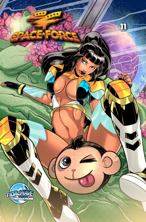 Cover image for book Space Force #11