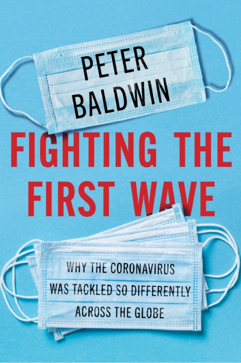 Cover image for book Fighting the First Wave