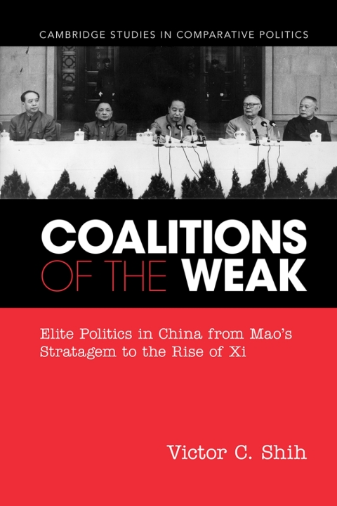 Cover image for book Coalitions of the Weak
