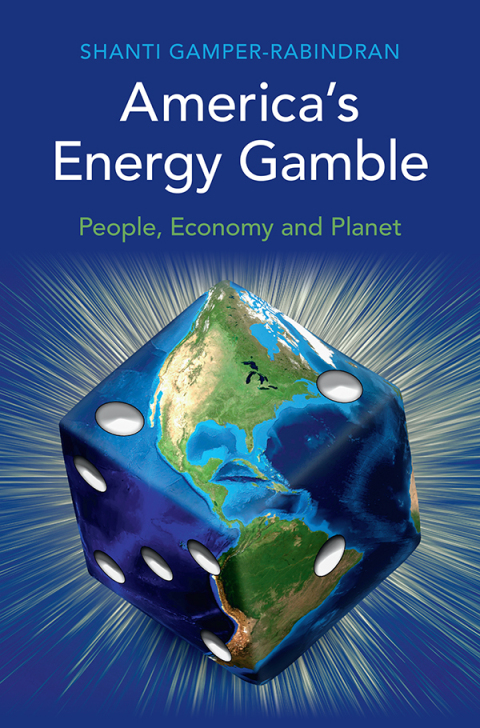 Cover image for book America's Energy Gamble