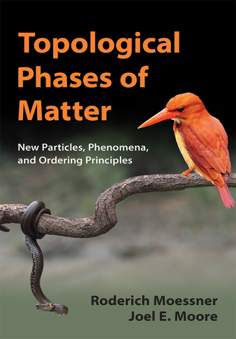Cover image for book Topological Phases of Matter