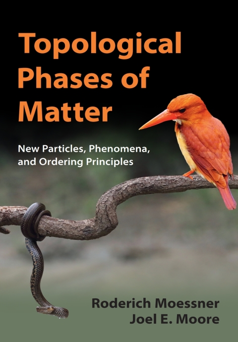 Cover image for book Topological Phases of Matter
