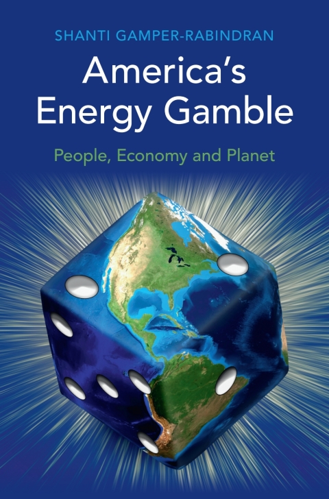 Cover image for book America's Energy Gamble