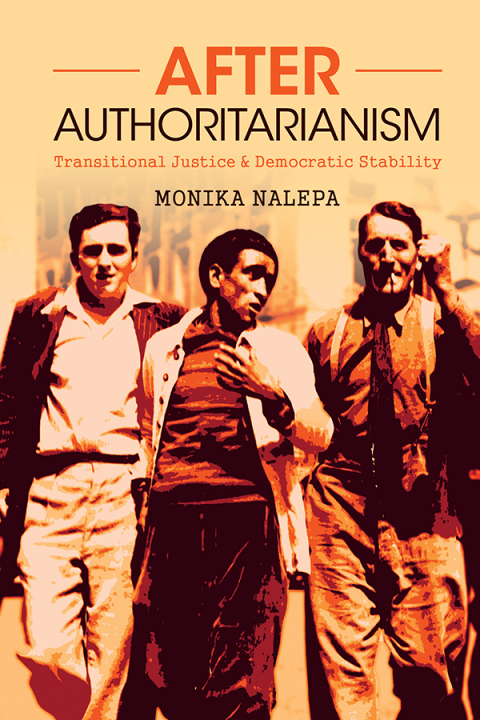 Cover image for book After Authoritarianism