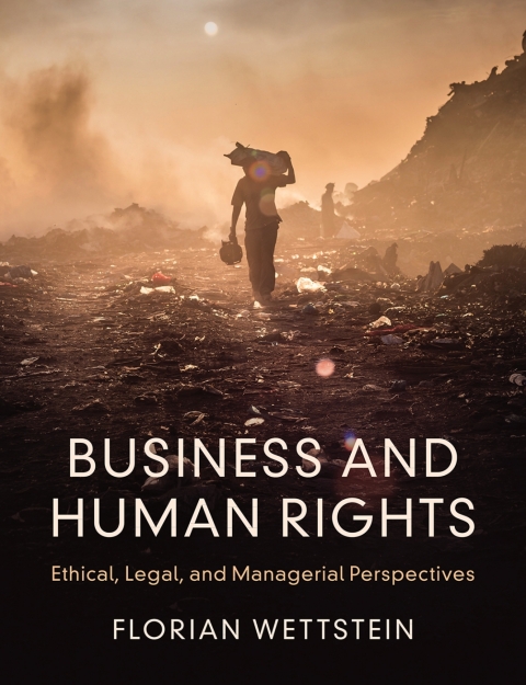Cover image for book Business and Human Rights