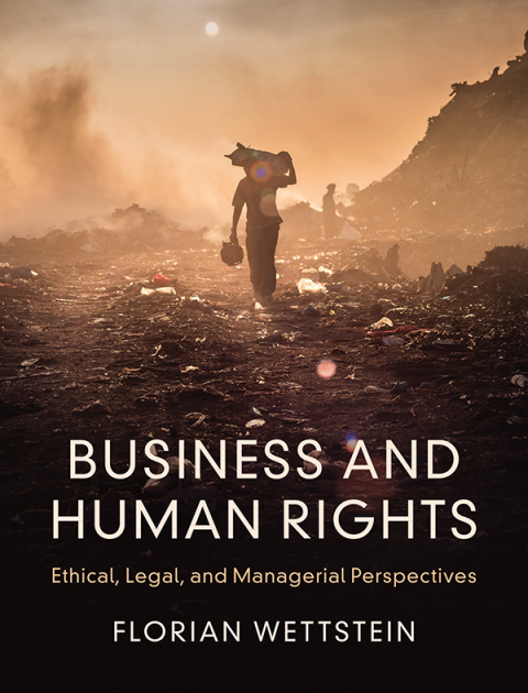 Cover image for book Business and Human Rights