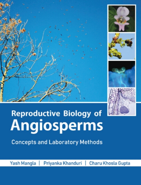 Cover image for book Reproductive Biology of Angiosperms