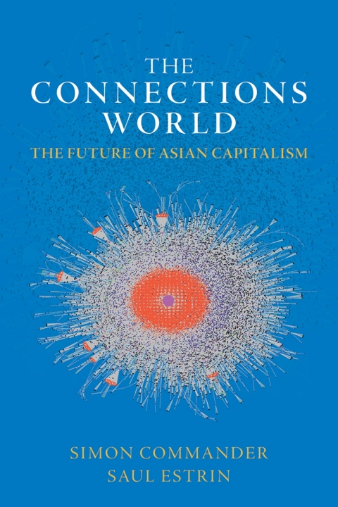 Cover image for book The Connections World
