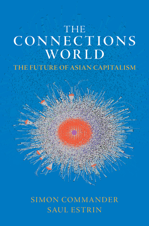 Cover image for book The Connections World