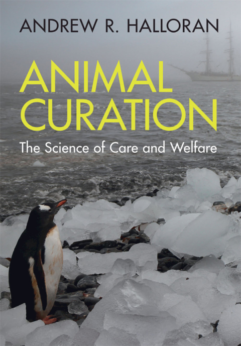 Cover image for book Animal Curation