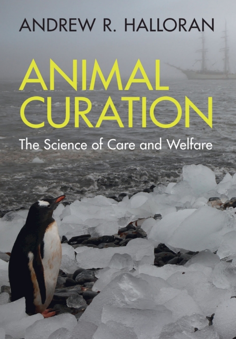 Cover image for book Animal Curation