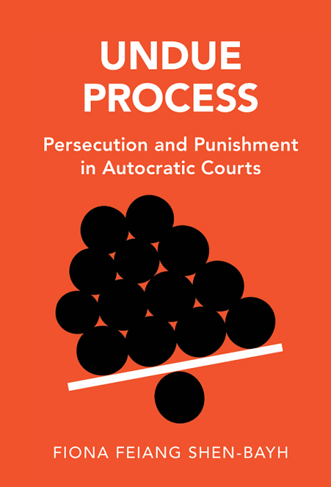 Cover image for book Undue Process