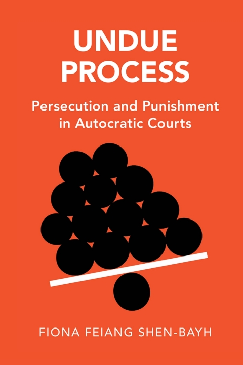 Cover image for book Undue Process