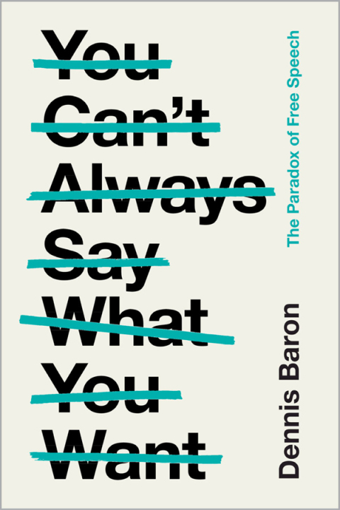 Cover image for book You Can't Always Say What You Want