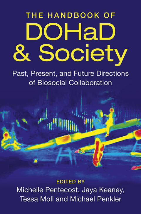 Cover image for book The Handbook of DOHaD and Society