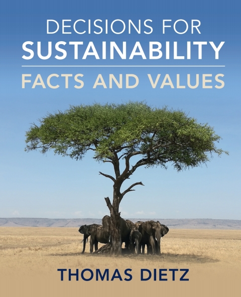 Cover image for book Decisions for Sustainability