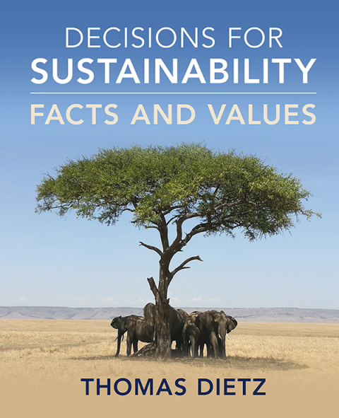 Cover image for book Decisions for Sustainability
