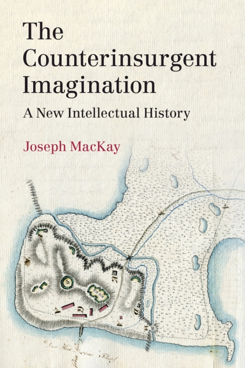 Cover image for book The Counterinsurgent Imagination