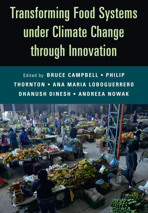 Cover image for book Transforming Food Systems Under Climate Change through Innovation